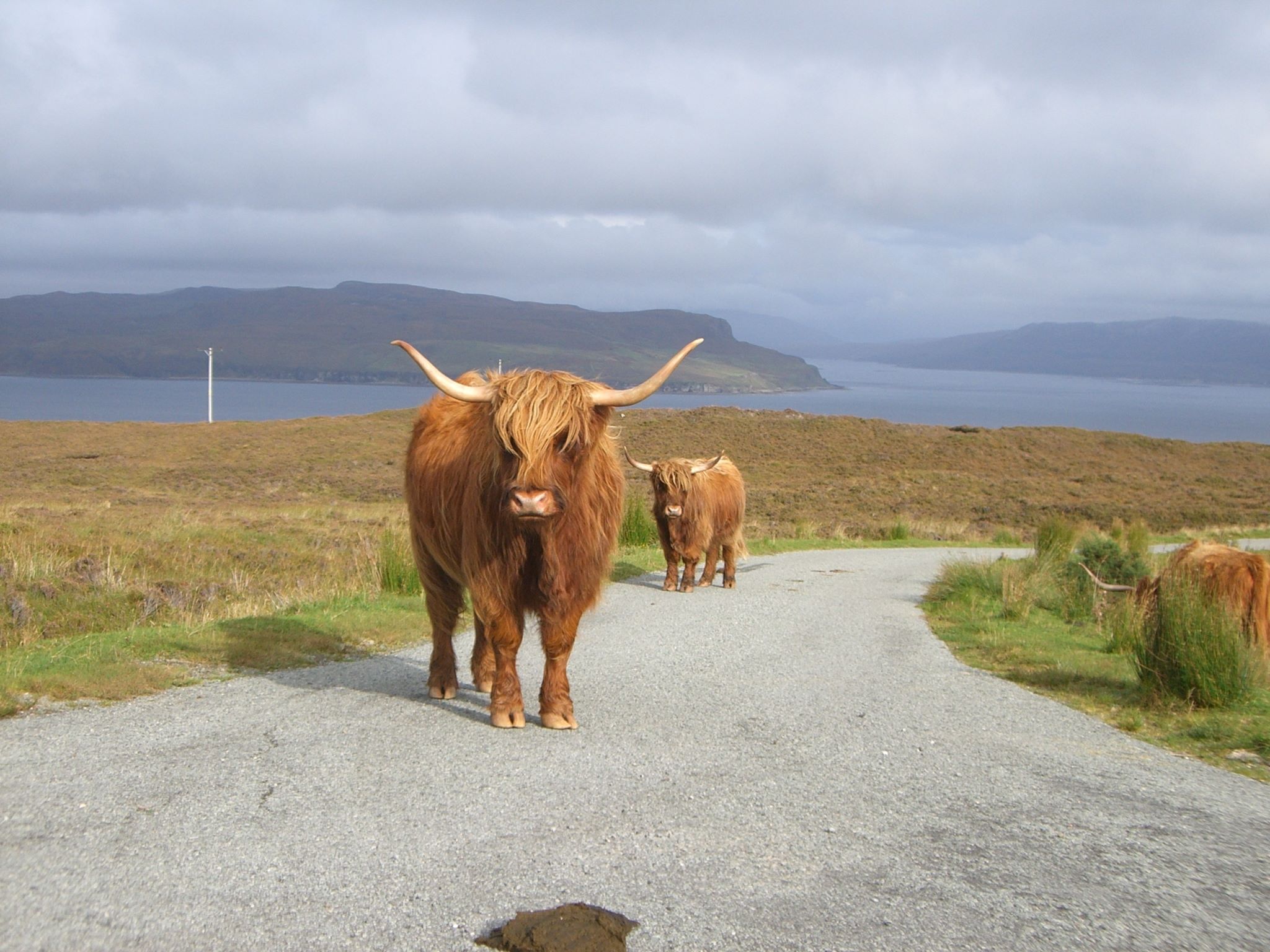 Heilan Coo, Isle of Skye